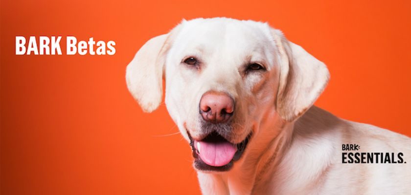 Bark Betas - Free Dog Products