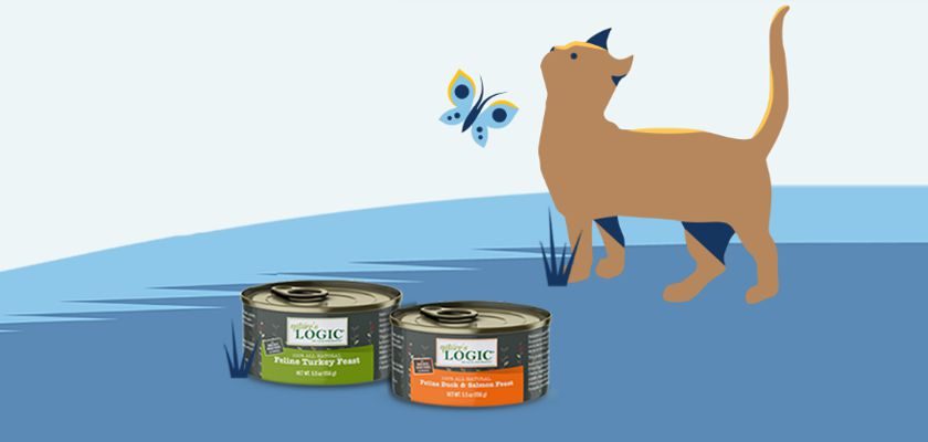 2 Free Cans of Nature’s Logic Cat Food Coupon