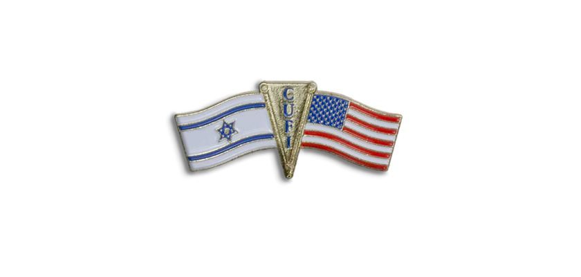Free US & Israel Unity Pin