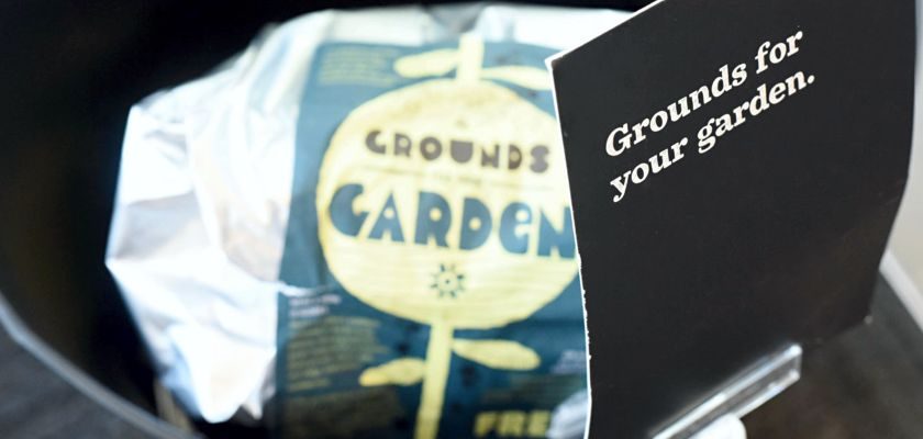 Free Coffee Grounds for Your Garden at Starbucks