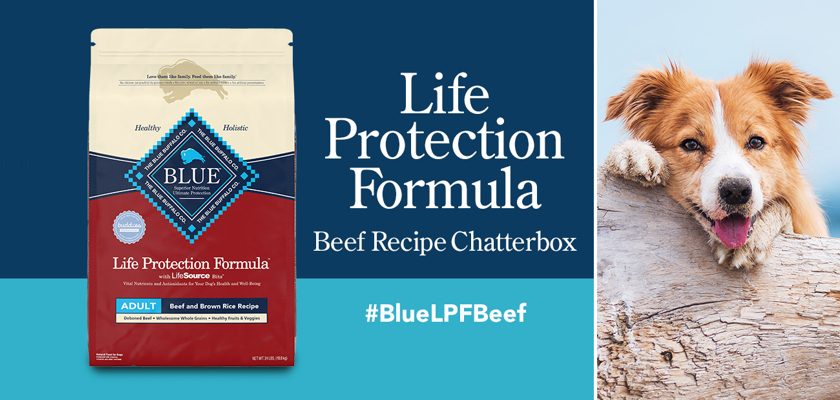 Free Blue Buffalo Life Protection Formula Beef Recipe Chatterbox Kit