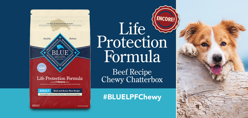 Free Blue Buffalo Life Protection Formula Beef Recipe Chewy Chatterbox Kit