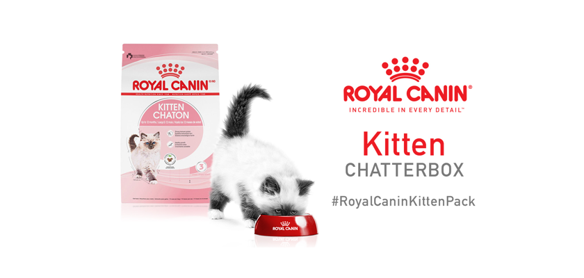 Free Royal Canin Kitten Chatterbox Kit