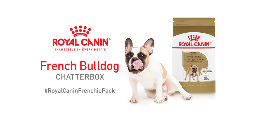 Free Royal Canin French Bulldog Chatterbox Kit