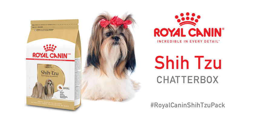 Free Royal Canin Shih Tzu Chatterbox Kit